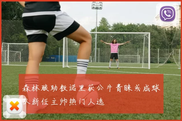 森林狼助教诺里获公牛青睐或成球队新任主帅热门人选